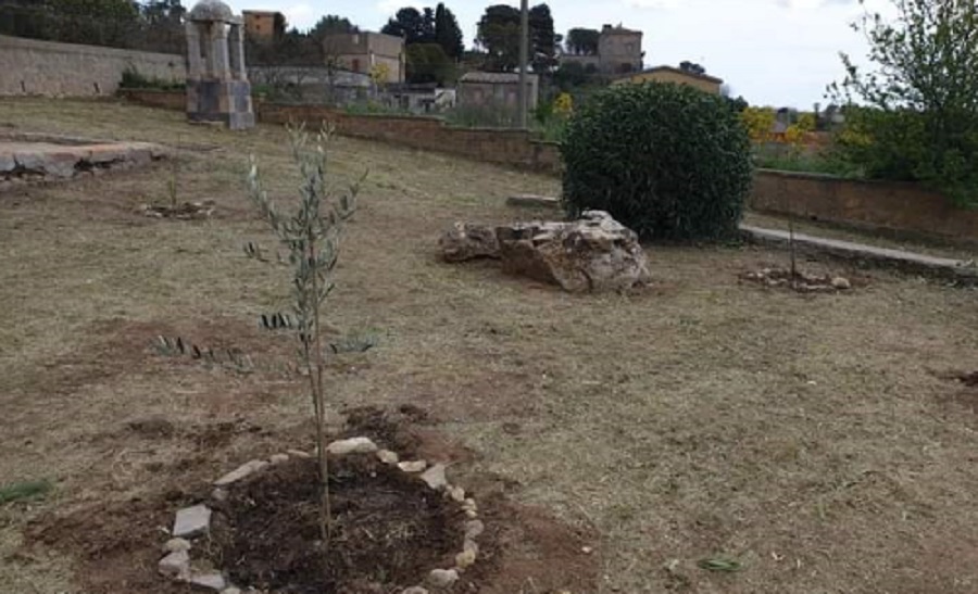 Furto alla scuola elementare di Pergusa, rubato albero di Plastic free