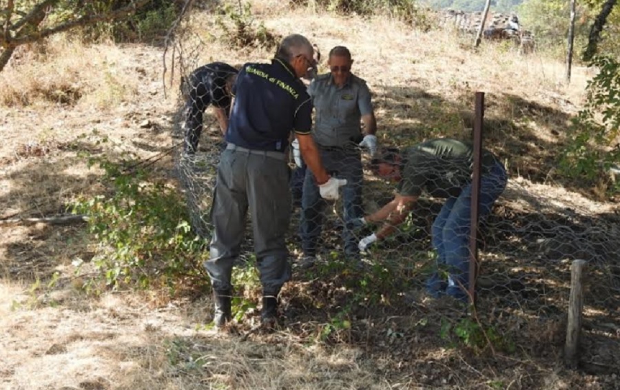 Macellazione clandestina, scovate gabbie per maiali a Troina