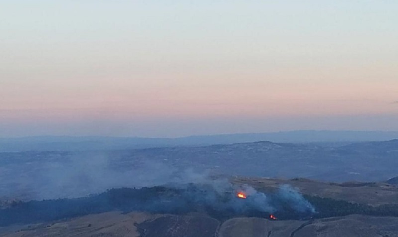 Incendi, la mano degli attentatori, una regia per danneggiare il bosco