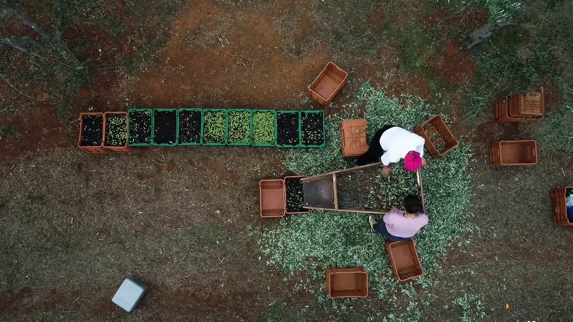 Il turismo delle radici volano per l’agroalimentare