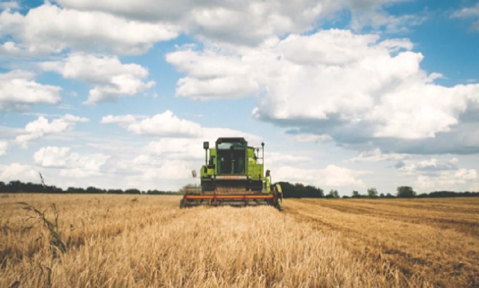 Siccità, Regione, “100 milioni ad aziende agricole per pozzi e laghetti”