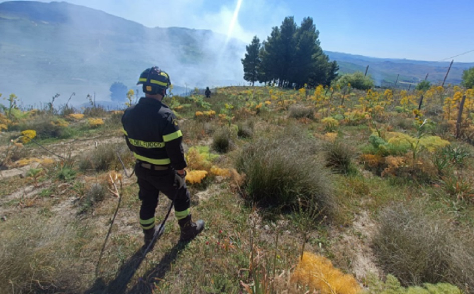 Incendio alle porte di Enna, Canadair in azione