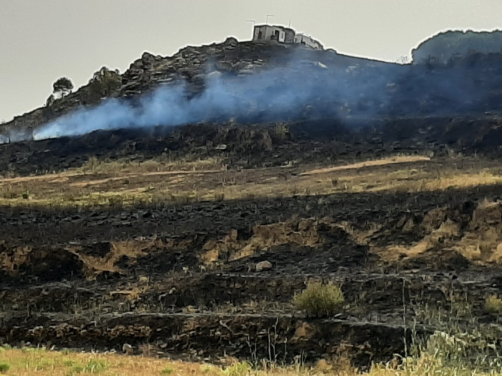 Incendio a Piazza, Di Salvo, “rogo domato ma è doloso”