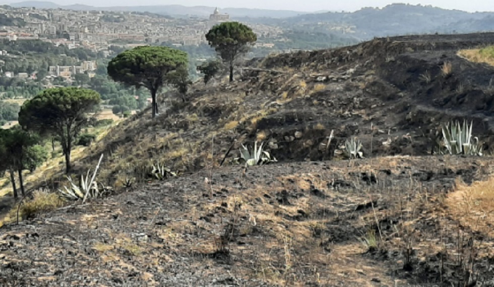 Incendi, nuovo rogo a Piazza Armerina