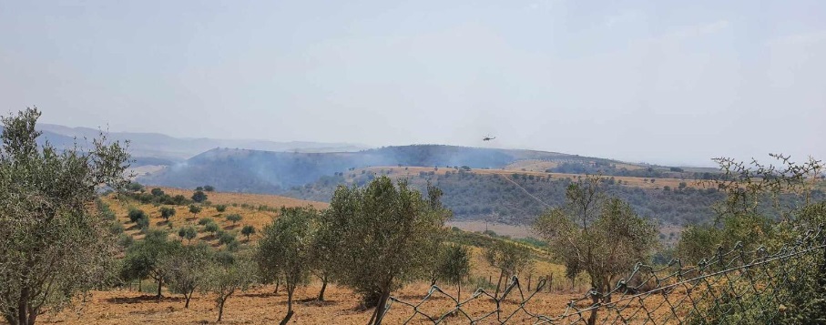 Vasto rogo a Barrafranca, in volo 2 Canadair della Forestale