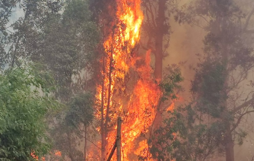 L’inferno a Piazza Armerina, ore di ansia per nuovi incendi