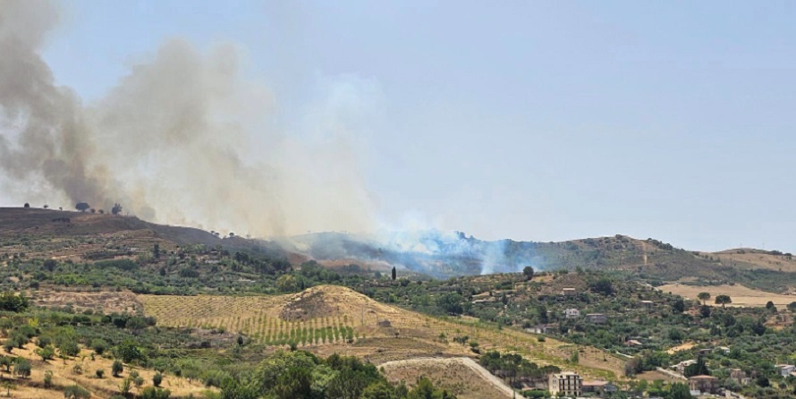 Incendio minaccia oleificio di Arena, in azione velivolo della Forestale