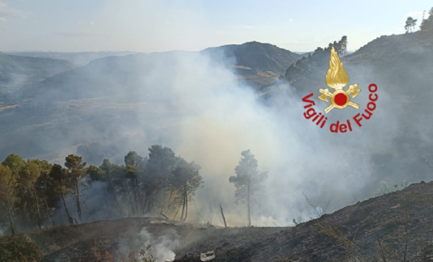 Incendio al monte Catina, sfiorate le attività commerciali