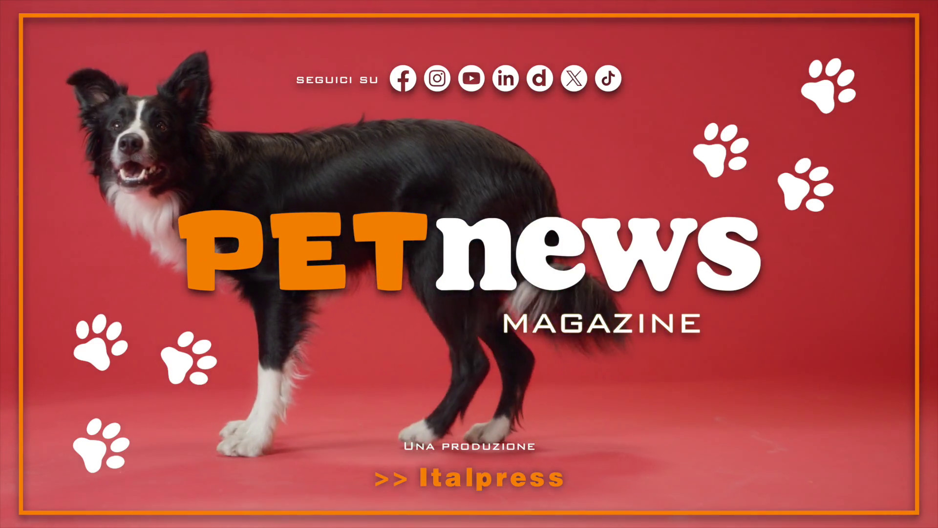 PetNews Magazine – 17/9/2024