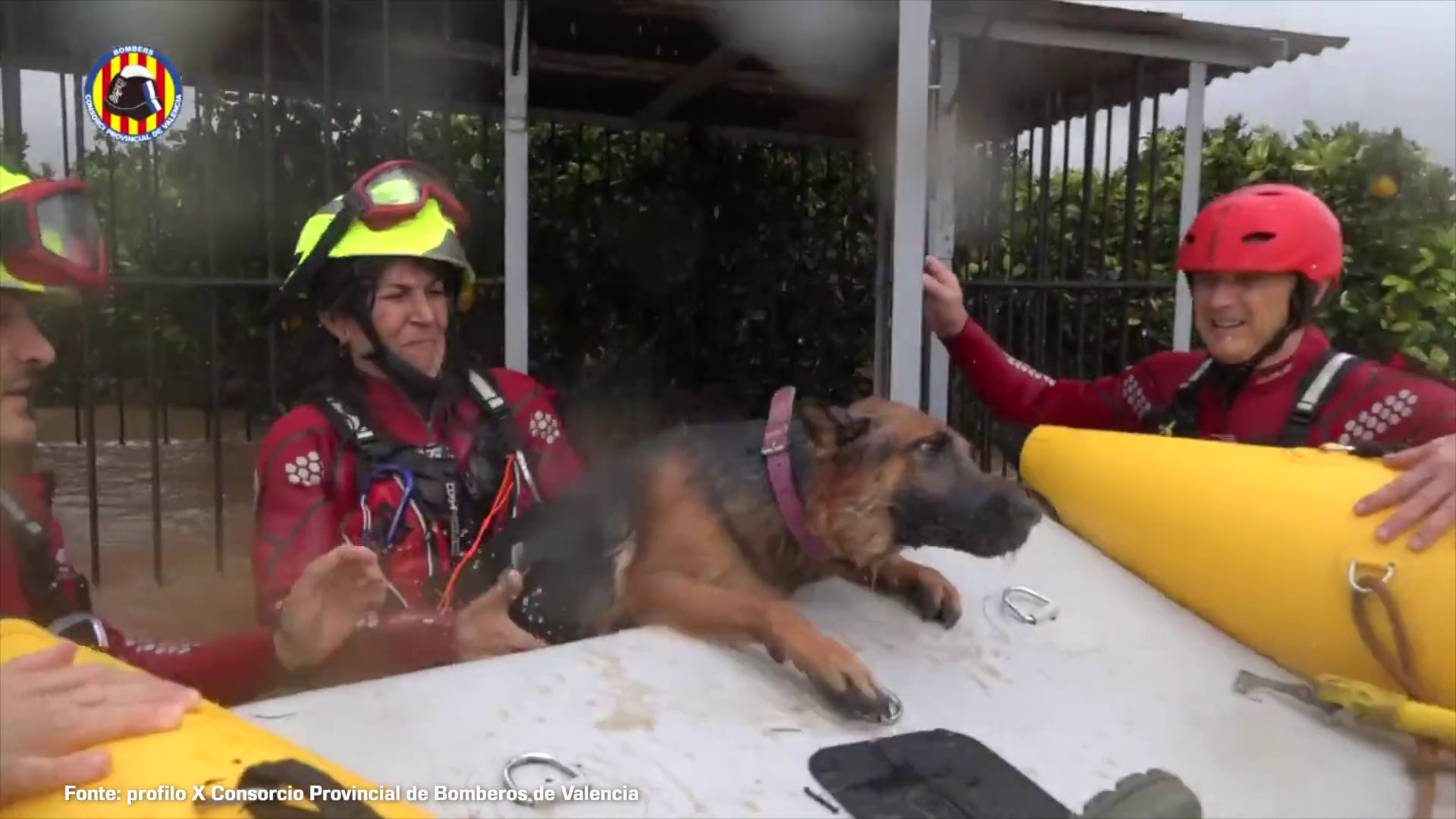 Alluvione a Valencia, il salvataggio di una coppia con due cani