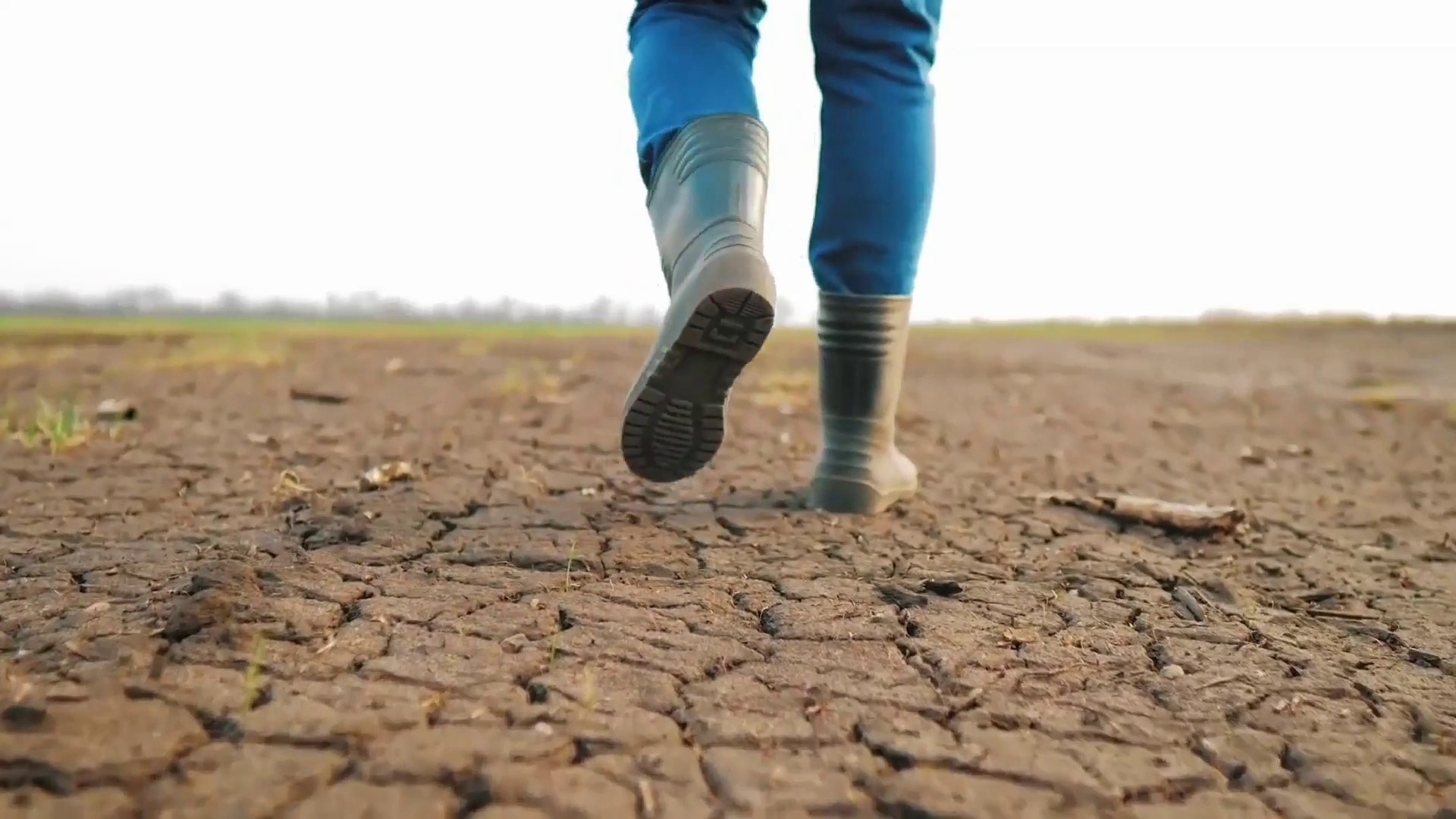 Siccità, 112 milioni per le imprese agricole danneggiate