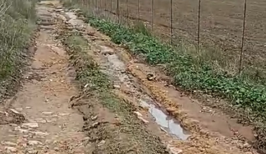 Maltempo, strada sbarrata a Bubudello, “non posso andare in azienda”