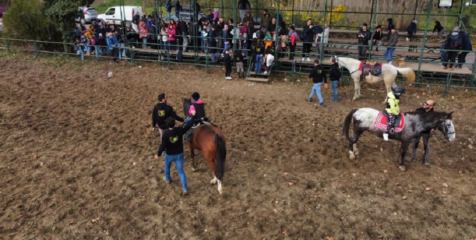 La Giornata del cavallo e del bambino, oltre 1200 partecipanti