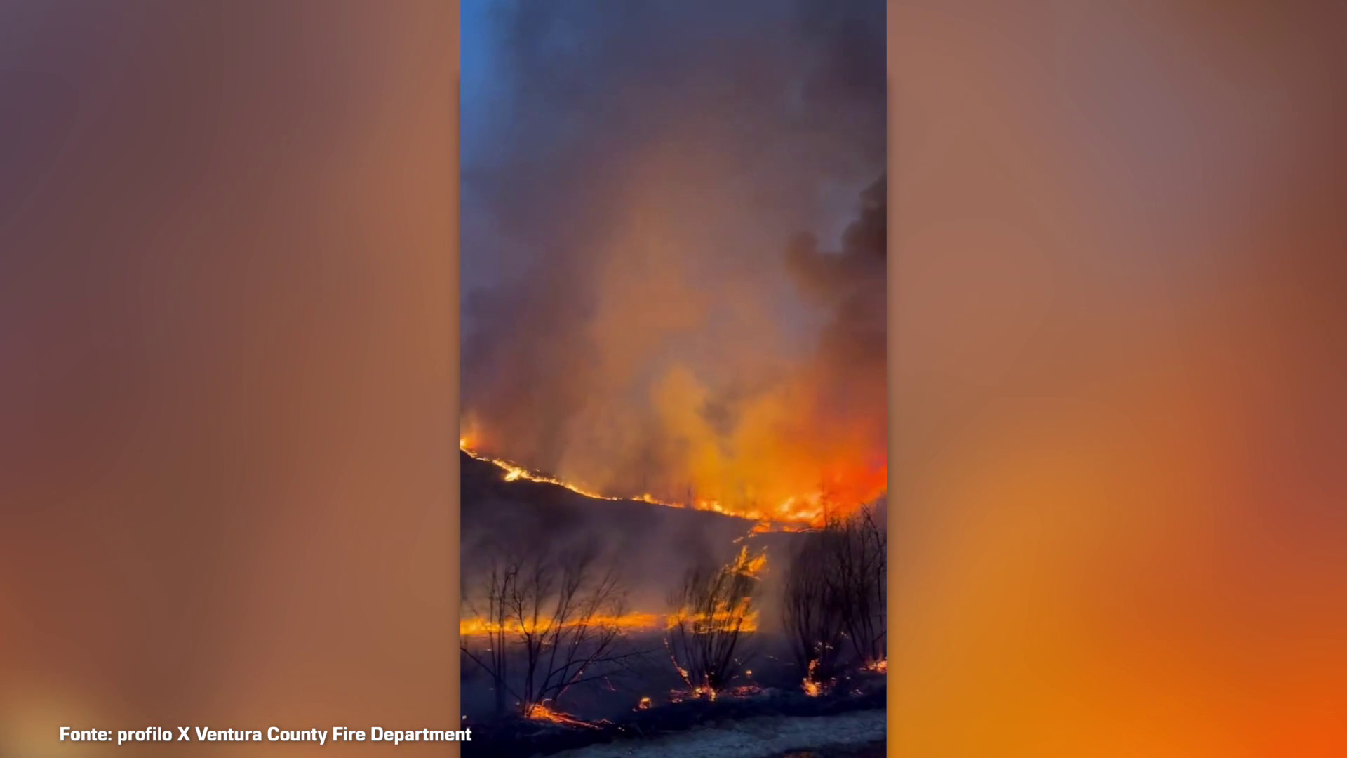 Incendi a Los Angeles, le immagini shock di un devastante rogo