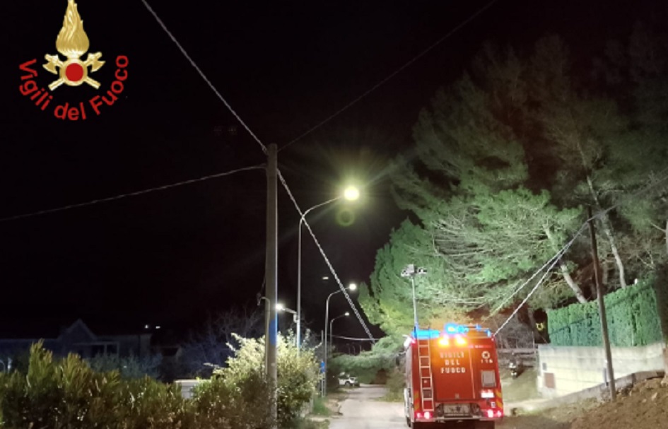 Paura a Enna, cade un albero, “per fortuna non passava nessuno”