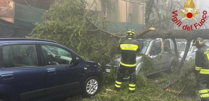 Maltempo, raffiche di vento a Enna, albero si abbatte sulle auto