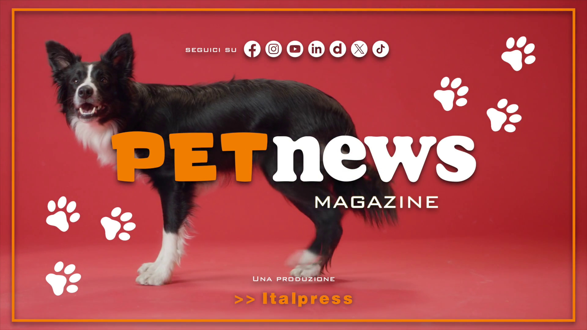 PetNews Magazine – 21/1/2025