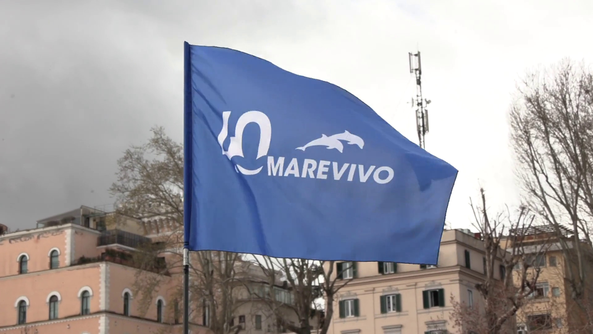 Marevivo festeggia 40 anni di impegno per il mare